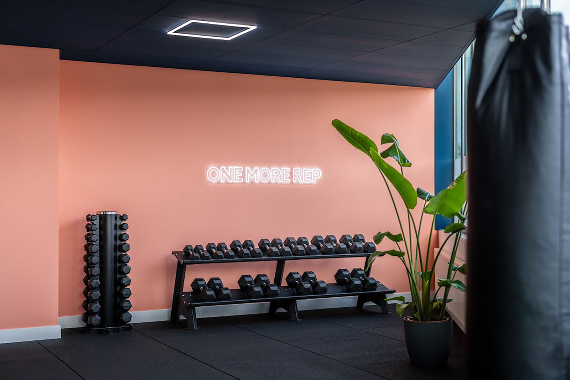 Homey Story: Managing a Gym with Vic D'Elfant Equipe