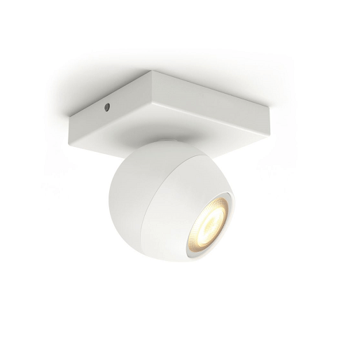 Buckram Spotlights