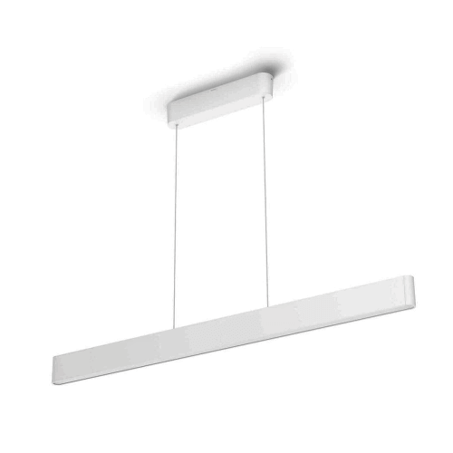 Ensis Pendant