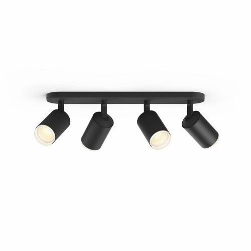 Fugato 4-Spotlight
