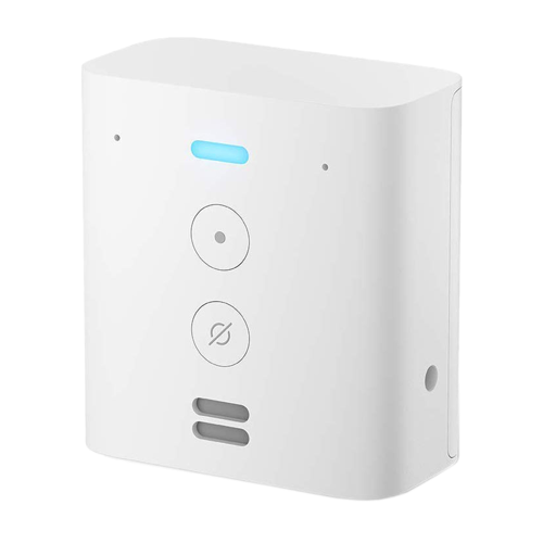 Echo Flex (Gen1)