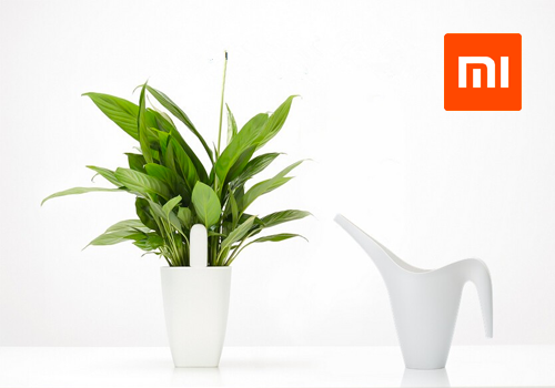 Track every need of your plants and flowers