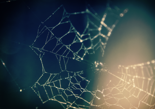 Keeps an eye on your network