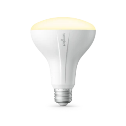 Big Dimmable Bulb