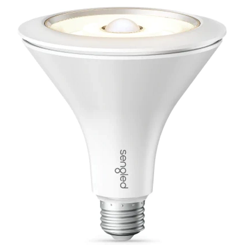Dimmable Motion Bulb